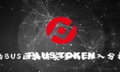 超零币的BUS区块链安全吗？深入分析与探讨