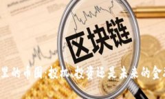 区块链里的币圈：投机、投资还是未来的金融革