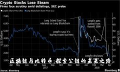 区块链与比特币：探索公链的未来之路