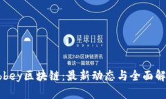 Abbey区块链：最新动态与全面解析