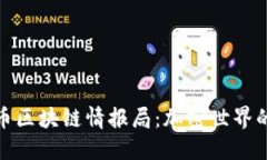 揭秘比特币区块链情报局：加密世界的神秘面纱