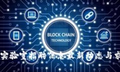 区块链实验室招聘信息最新动态与求职指南