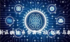 深入解析区块链币交易市场：机遇与挑战并存