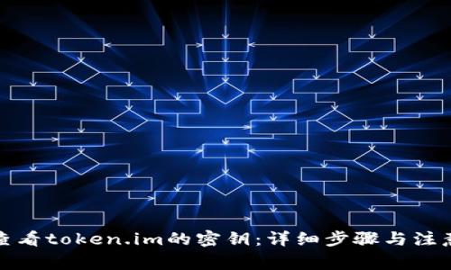 如何查看token.im的密钥：详细步骤与注意事项