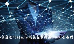如何通过Token.im钱包轻松购买USDT：全面指南