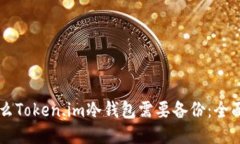 为什么Token.im冷钱包需要备份：全面指南