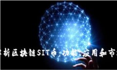深入解析区块链SIT币：功能、应用和市场前景