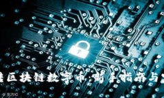 如何玩转区块链数字币：新手指南与实用技巧