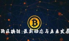莱茨狗区块链：最新动态与未来发展解析