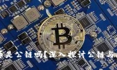 有区块浏览器的币是公链吗？深入探讨公链与区