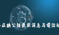 2023年区块公链最新消息与前沿动态分析
