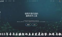   2023年币与区块链的未来发展趋势：机遇与挑战