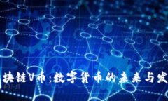 新型区块链V币：数字货币的未来与发展前景