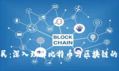 王为民：深入理解比特币与区块链的45讲