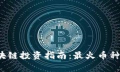 2023年区块链投资指南：最火币种排名与分析