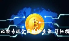 如何进行比特币现金区块链查询：详细指南与技