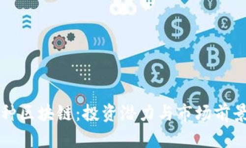 小币种区块链：投资潜力与市场前景分析