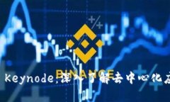 Token.im Keynode：深入了解去中心化应用的基石