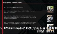 为什么Token.im会被风控？分析原因与应对策略
