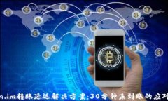 token.im转账延迟解决方案：30分钟未到账的应对措