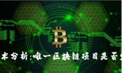 曼城区块链技术分析：唯一区块链项目是否发行