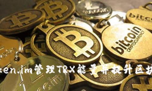 如何通过Token.im管理TRX能量并提升区块链交易效率