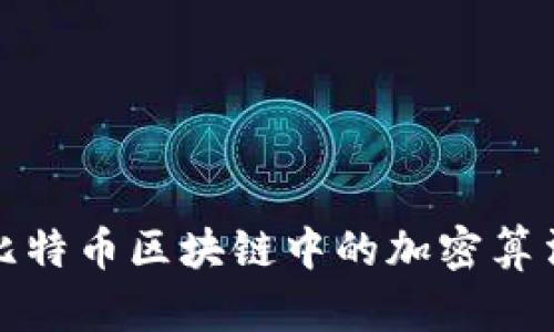 深入探讨比特币区块链中的加密算法及其机制