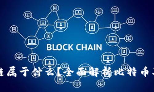 比特币区块链属于什么？全面解析比特币及其底层技术