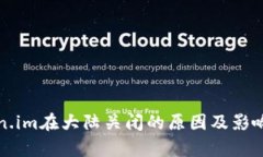 token.im在大陆关闭的原因及影响分析